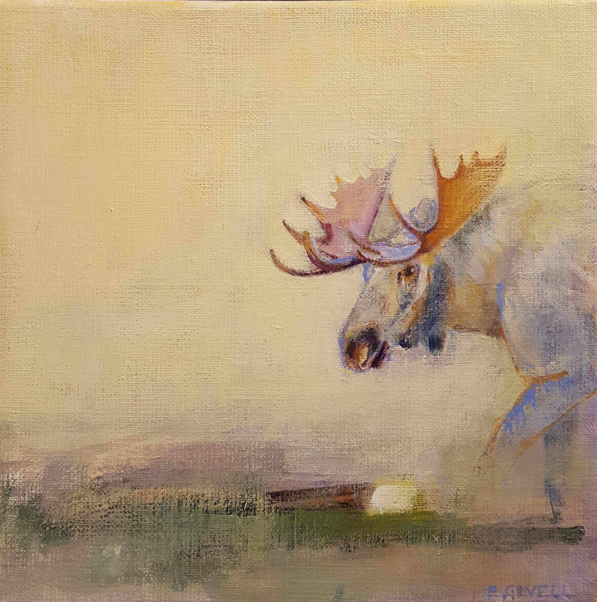 Visdom, 27x27 cm.jpg